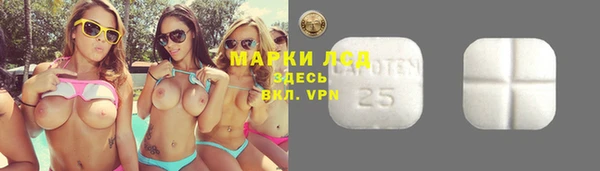ешки Касимов