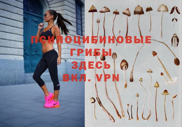 мет Кинешма