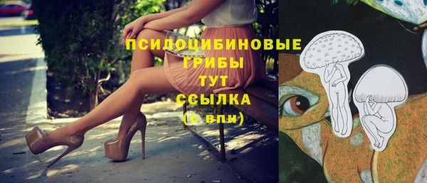 ГАЛЛЮЦИНОГЕННЫЕ ГРИБЫ Киренск