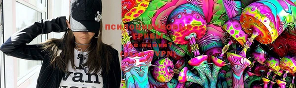 ГАЛЛЮЦИНОГЕННЫЕ ГРИБЫ Киренск